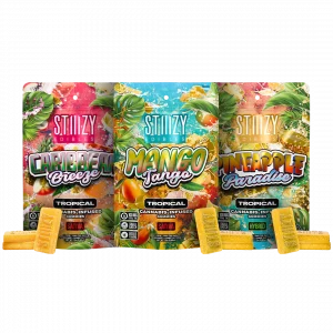 100mg THC Gummies - Pineapple Paradise By STIIIZY (Hybrid)