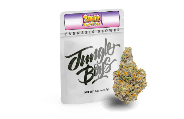 3.5 Grams Exotic – NY ZOO by Jungle Boys (Hybrid) 24.76% THC