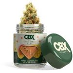 3.5 Grams Premium Cannabis Flower - Super Mango Haze by CBX (Sativa) THC: 26.39%