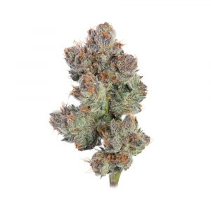 3.5 Grams Exotic - Galactic Warheads by Cookies (Indica) 37.09% THC