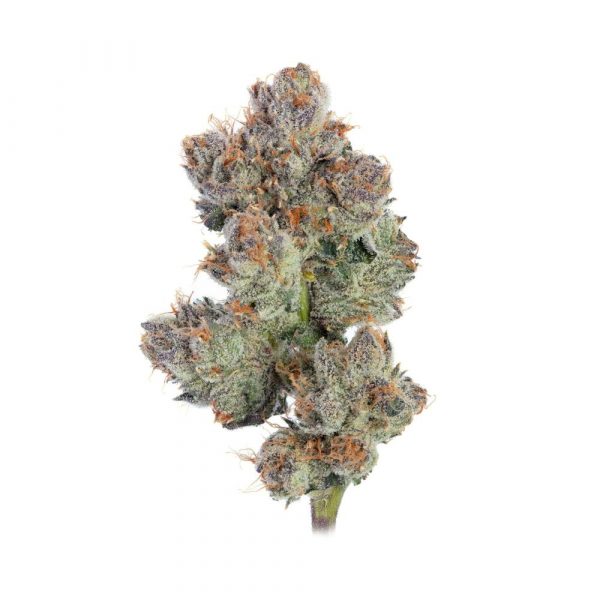 3.5 Grams Exotic - Galactic Warheads by Cookies (Indica) 37.09% THC